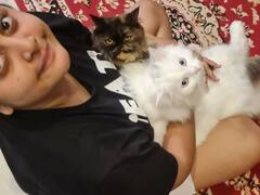 Manjima mohan : ‘எனது பூனைகள்தான் என்னுடைய இன்ஸ்பிரேஷன்..’பூனைகளின் புகைப்படங்களை பதிவிட்ட மஞ்சிமா மோகன்!