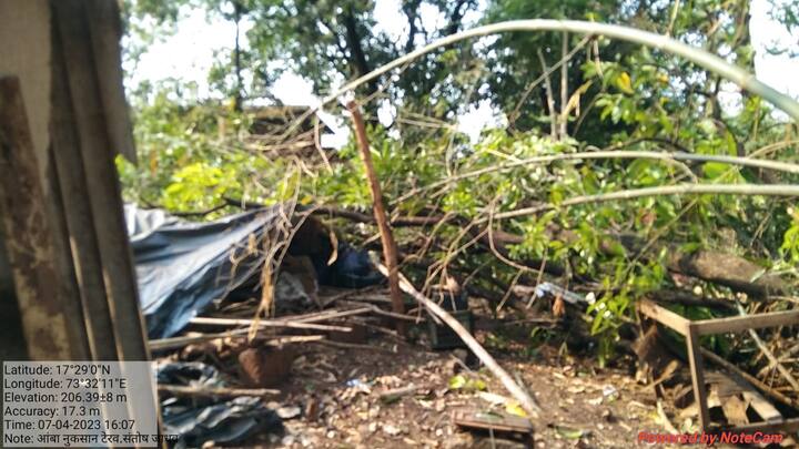 अचानक आलेल्या अवकाळी पावसाने दाणादाण उडवली.