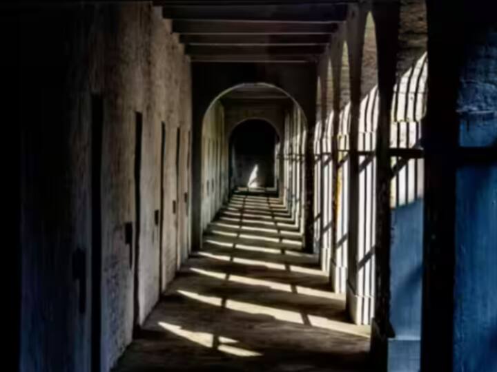 Bathinda Jail Inmates Use Mobile Phones Making Video and sending them to media despite High Security Punjab: जेलों में नहीं रुक रहा मोबाइल फोन का इस्तेमाल, बठिंडा जेल से कैदियों ने वीडियो बनाकर बाहर भेजा