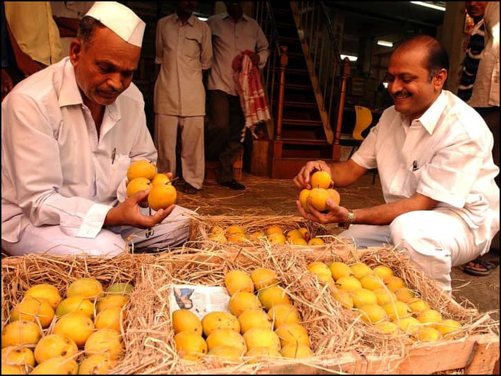 Pune businessman started EMI Scheme on Mango viral news Mango On EMI: अब किश्त पर खरीदें महंगे आम...पुणे व्यापारी ने निकाली ईएमआई स्कीम 