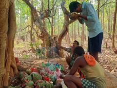 सैकड़ों साल पुरानी है माटी त्योहार मनाने की परंपरा, आदिवासी निभाते हैं अनोखी रस्में