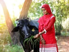 तपती गर्मी-लू से गाय-भैसों को बचाने के लिए कर लें ये इंतजाम, इन बातों का खास ध्यान रखें पशुपालक!