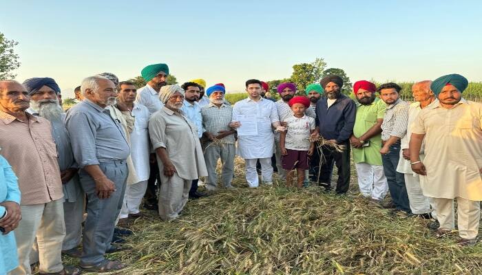 Raghav Chadha Writes To Nirmala Sitharaman Seeking Relief To Punjab Farmers Hit By Unseasonal Rains ਰਾਘਵ ਚੱਢਾ ਨੇ ਨਿਰਮਲਾ ਸੀਤਾਰਮਨ ਨੂੰ ਪੱਤਰ ਲਿਖ ਕੇ ਬੇਮੌਸਮੀ ਬਾਰਸ਼ ਨਾਲ ਪ੍ਰਭਾਵਿਤ ਪੰਜਾਬ ਦੇ ਕਿਸਾਨਾਂ ਲਈ ਰਾਹਤ ਦੀ ਕੀਤੀ ਮੰਗ