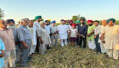 ਰਾਘਵ ਚੱਢਾ ਨੇ ਨਿਰਮਲਾ ਸੀਤਾਰਮਨ ਨੂੰ ਪੱਤਰ ਲਿਖ ਕੇ ਬੇਮੌਸਮੀ ਬਾਰਸ਼ ਨਾਲ ਪ੍ਰਭਾਵਿਤ ਪੰਜਾਬ ਦੇ ਕਿਸਾਨਾਂ ਲਈ ਰਾਹਤ ਦੀ ਕੀਤੀ ਮੰਗ