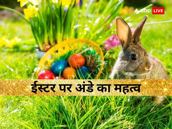 Easter Sunday 2023: 9 अप्रैल 2023 को ईस्टर संडे मनाया जाएगा. ईस्टर पर्व को प्रभु यीशु के पुनर्जन्म के रूप में मनाया जाता है. इसमें अंडे का महत्व होता है. ईसाई अंडे को नए जीवन का प्रतीक मानते हैं.