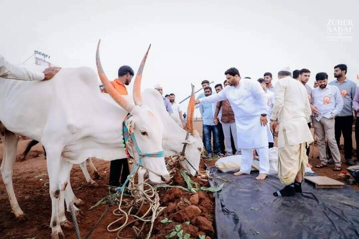 सांगलीत देशातील सर्वात मोठ्या रुस्तम-ए-हिंद बैलगाडी शर्यतीचा थरार पाहण्यासाठी विराट गर्दी झाली आहे.
