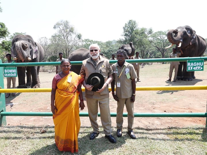 PM Modi visits The Elephant Whisperers couple Bomman Bellie amid tight security in Mudumalai Tiger Reserve ஆஸ்கர் புகழ் பொம்மன், பெல்லி தம்பதியை சந்தித்த பிரதமர் மோடி... நீலகிரியில் நெகிழ்ச்சி..!