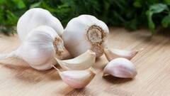 Garlic Side Effects: લસણના સેવનથી ફાયદો જ નહી આ નુકસાન પણ થઇ શકે છે, જાણો 7 સાઇડ