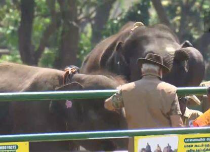 कर्नाटक दौऱ्यानंतर पंतप्रधान नरेंद्र मोदी यांनी तामिळनाडूमधील थेप्पाकडू येथील हत्तींच्या छावणीला भेट दिली.