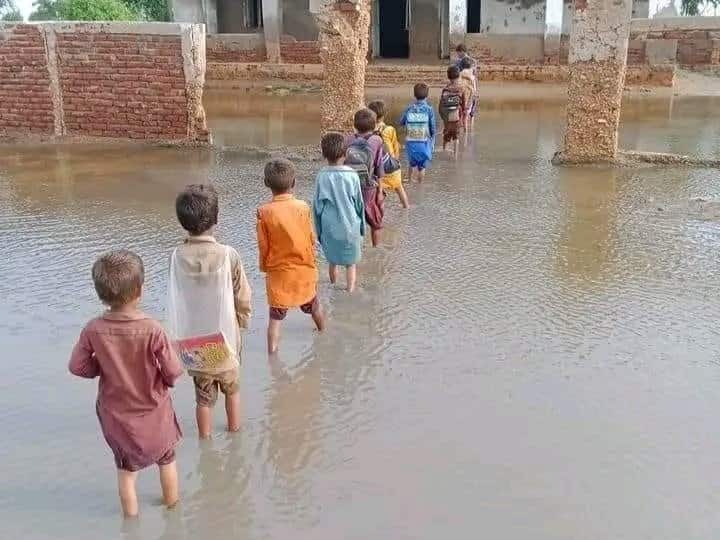 Pakistan Sindh province floods affected area destroyed twenty thousand of school depriving poor children of education Pakistan Sindh Education: पाकिस्तान में विनाशकारी बाढ़ से 20 हजार स्कूल तबाह, लाखों बच्चे हुए पढ़ाई से दूर