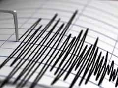 Earthquake: ਅੰਡੇਮਾਨ ਅਤੇ ਨਿਕੋਬਾਰ 'ਚ ਲੱਗੇ ਭੂਚਾਲ ਦੇ ਝਟਕੇ, ਰਿਕਟਰ ਸਕੇਲ 'ਤੇ 4.1 ਸੀ ਤੀਬਰਤਾ