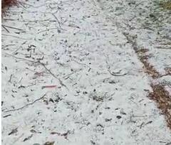 Weather : अवकाळी पावसामुळं शेती पिकांचं मोठं नुकसान