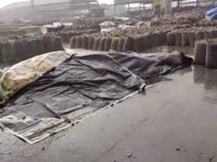 एशिया की बड़े बाजारों में से एक है भामाशाह कृषि उपज मंडी, यहां अनाज की रिकॉर्ड आवक, जगह पड़ने लगी कम