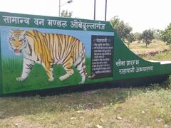 जानवरों की सुविधा के लिए बनेगी साउंडप्रूफ दीवार, भोपाल-नागपुर फोरलेन पर औबेदुल्लागंज के पास होगा निर्माण