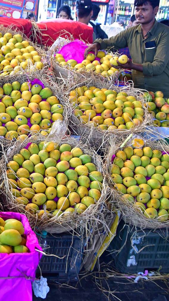 बाजारों में बस्तर के आम की है भारी डिमांड