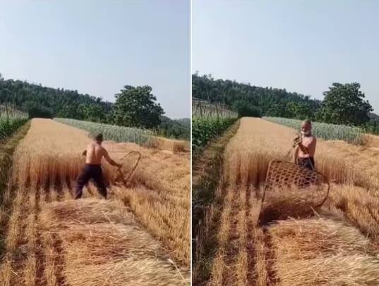 farmer-is-seen-plowing-his-field-with-luxury-suv-fortuner-in-viral-video Video: ਕਿਸਾਨ ਨੇ ਜੁਗਾੜ ਲਾ ਕੇ ਮਿੰਟਾਂ ਚ ਕੀਤੀ ਕਣਕ ਦੀ ਵਾਢੀ, ਕ੍ਰਿਏਟੀਵਿਟੀ ਦੇਖ ਕੇ ਹਰ ਕੋਈ ਹੋਇਆ ਹੈਰਾਨ