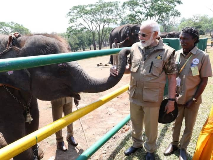 Narendra Modi : नरेंद्र मोदींनी 'द एलिफंट विस्परर्स'मधील रघुची भेट घेतली आहे.