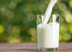 Milk And Dairy Product Price: ਦੁੱਧ ਤੇ ਡੇਅਰੀ ਉਤਪਾਦਾਂ ਦੀਆਂ ਕੀਮਤਾਂ ਤੋਂ ਰਾਹਤ ਦੀ ਨਹੀਂ ਕੋਈ ਉਮੀਦ