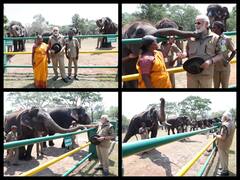 The Elephant Whisperers' Couple Bomman, Belli Meet PM Modi At TN Elephant Camp — IN PICS