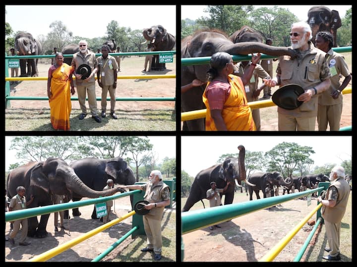 PM Modi visited Mudumalai Tiger Reserve on Sunday where he met caretakers Bomman and Belli and also elephants Bommi and Raghu featured in the award-winning documentary 'The Elephant Whisperers'.