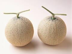 ये है दुनिया का सबसे महंगा खरबूज... एक की कीमत 15 लाख रुपये से ज्यादा है