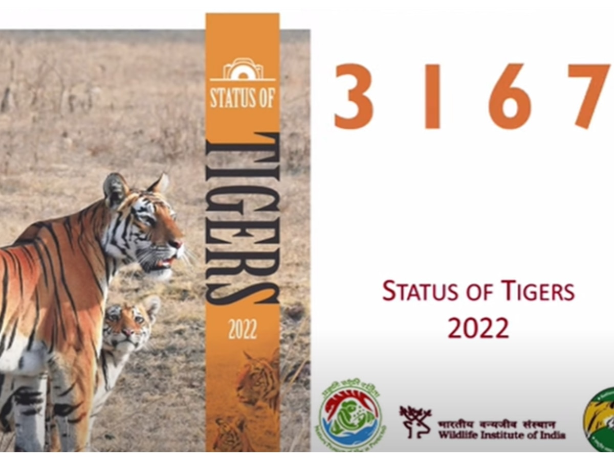 50 years of Project Tiger PM Modi Releases Tiger Survey know details