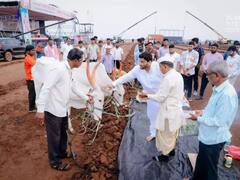 सांगली जिल्ह्यातील भाळवणीमध्ये आज भारतातील सर्वात मोठ्या रुस्तम-ए-हिंद बैलगाडी शर्यतीचा थरार!