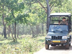 The Elephant Whisperers' Couple Bomman, Belli Meet PM Modi At TN Elephant Camp — IN PICS