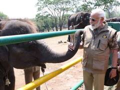 हाथियों को खिलाया गन्ना, टाइगर रिजर्व में 20KM की जीप सफारी, देखिए PM मोदी का डैशिंग लुक