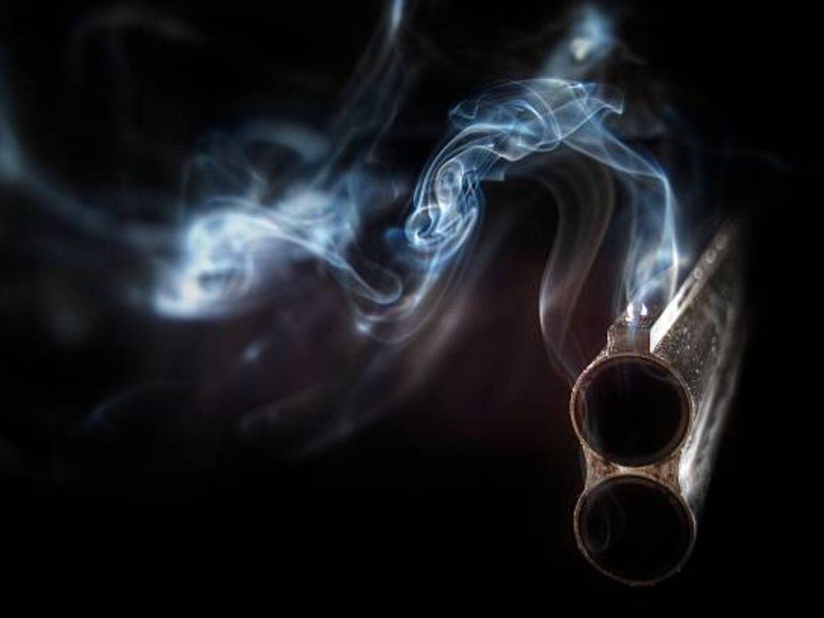 Man Shoots Girlfriend's Mother After Argument Over Dog In Delhi, Absconding