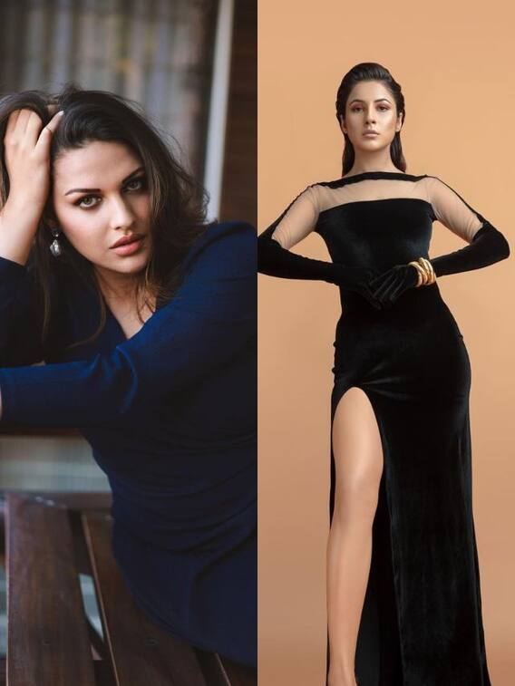 टीवी की इन हसीनाओं की कैटफाइट है पॉपुलर