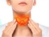 Thyroid:  థైరాయిడ్ సమస్య త్వరగా అదుపులోకి రావాలంటే వీటిని తీసుకోండి
