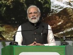 'भारत में तेजी से बढ़ रही है बाघ की संख्या, क्योंकि...', पीएम मोदी ने बताया देश में कितने टाइगर