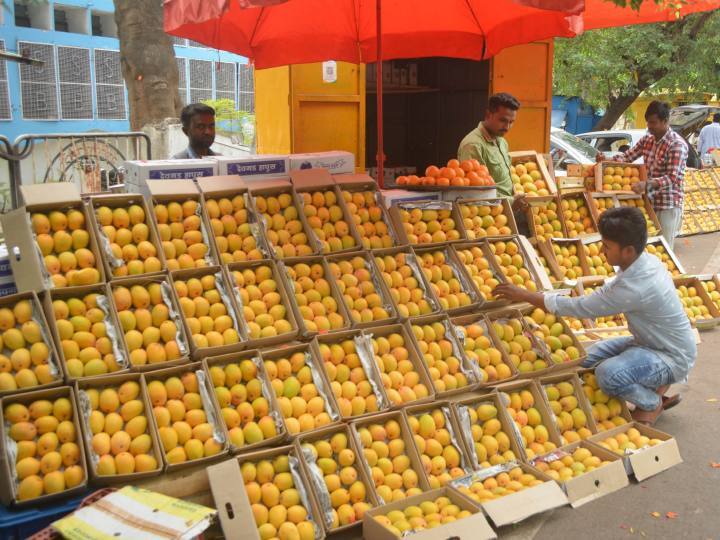 Alphonso Mango Price EMI will have to be resorted to to buy Alphonso mangoes ann Alphonso Mango Price: ये आम इतना महंगा है कि दुकानदार ने दिया EMI का ऑप्शन,  Paytm के साथ किया टाई-अप