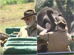 PM Modi Feeds Elephant At Theppakadu Camp In TN's Mudumalai Tiger Reserve — WATCH