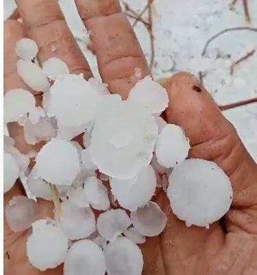 Weather : राज्यात अवकाळीचा कहर, शेती पिकांचं मोठं नुकसान