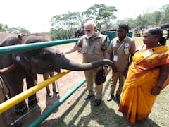 The Elephant Whisperers' Couple Bomman, Belli Meet PM Modi At TN Elephant Camp — IN PICS