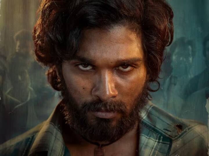 जगभरातील बॉक्स ऑफिसवर धुमाकूळ घालण्यासाठी 'पुष्पा 2' हा सिनेमा सज्ज आहे.