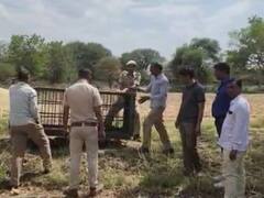 बुजुर्ग के शिकार के बाद उदयपुर के इस गांव में फैला पैंथर का खौफ, वन विभाग ने ग्रामीणों को दी ये सलाह