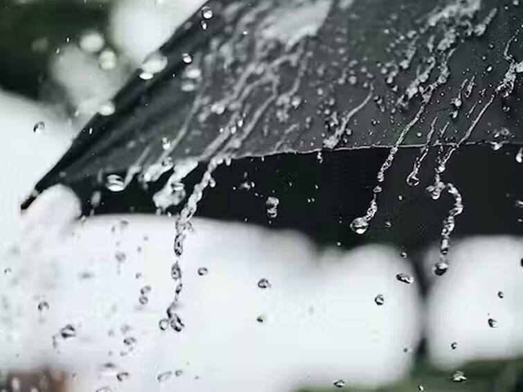 Monsoon 2023 Skymet monsoon forecast monsoon to be below normal amid El Nino threat Skymet Monsoon Forecast:  यंदा देशभरात सरासरीच्या 94 टक्केच पाऊस पडणार; महाराष्ट्रात जुलै-ऑगस्ट महिन्यात कमी पाऊस , स्कायमेटचा अंदाज