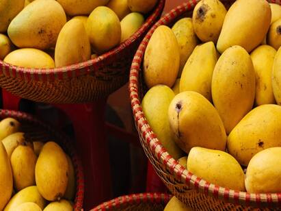 Alphonso Mangoes Available On EMI In Pune Seller Launches Unique Scheme Mangoes On EMI : சூடுபிடிக்கும் மாம்பழ சீசன்...இனி இ.எம்.ஐ-யில் வாங்கலாம்...எங்கு தெரியுமா...!?
