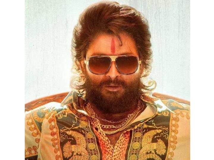 'पुष्पा 2' हा सिनेमा 2023 च्या शेवटी प्रेक्षकांच्या भेटीला येऊ शकतो.