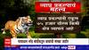 PM Modi Tiger Project : देशातील वाघांची संख्या 3 हजार 167, PM Modi यांच्याकडून संख्या जाहीर