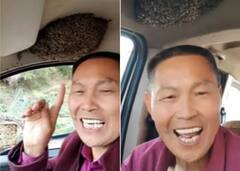 Viral Video: ਮਧੂਮੱਖੀਆਂ ਨੇ ਕਾਰ ਵਿੱਚ ਲਾਇਆ ਆਪਣਾ ਡੇਰਾ, ਡਰਾਈਵਰ ਫਿਰ ਵੀ ਉਨ੍ਹਾਂ ਨਾਲ ਚਲਾ ਰਿਹਾ ਹੈ ਗੱਡੀ! ਵੀਡੀਓ ਦੇਖੋ