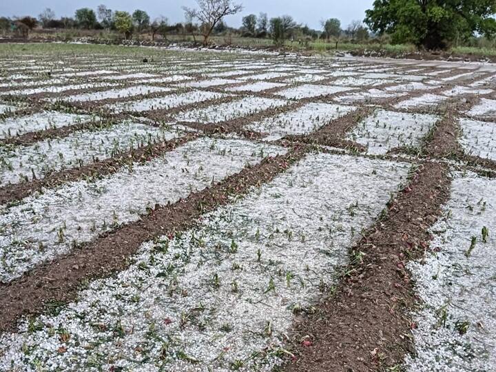 maharashtra News Chhatrapati Sambhaji Nagar Unseasonal rain with hail in Marathwada Beed Hingoli Unseasonal Rain : मराठवाड्याला गारपिटीचा तडाखा; संभाजीनगर, बीडसह हिंगोली जिल्ह्याला मोठा फटका