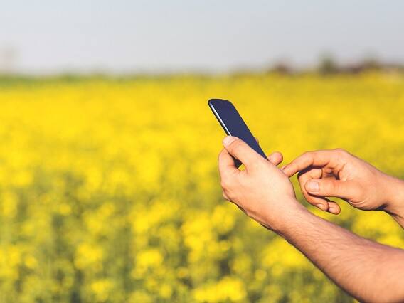 Balram App: Balram Mobile App Promote Sustainable Farming Balram App: આ એપ ખેડૂતોને બની શકે ઉપયોગી, સીધા નિષ્ણાંતો સાથે કરી શકાશે વાતચીત