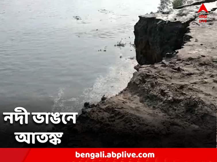 Erosion has started again in Hogal river in Basanti of South 24 Parganas South 24 Parganas: তলিয়ে যাচ্ছে গাছ, জমি, নদী ভাঙনে আতঙ্ক বাসন্তীতে