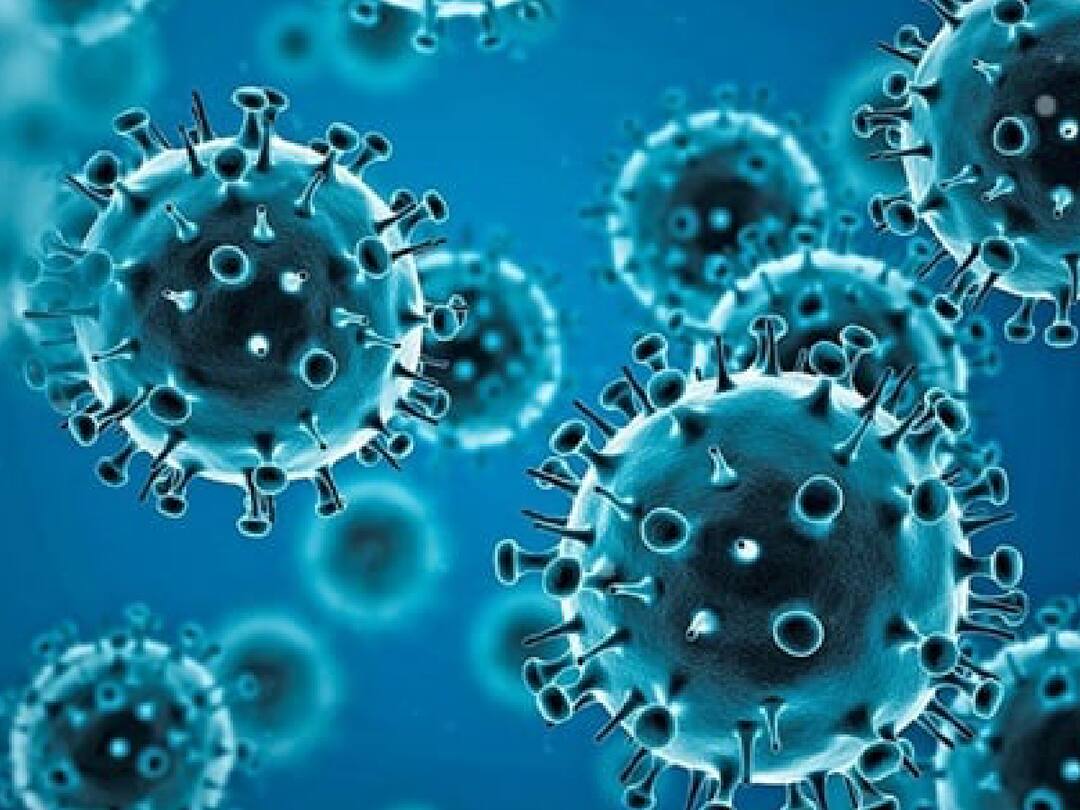 TN Corona Spike: தமிழ்நாட்டில் கொரோனாவிற்கு மேலும் ஒருவர் உயிரிழப்பு - இன்றைய கொரோனா நிலவரம்! the corona infection is increasing in Tamil Nadu, the Chennai making efforts to control it TN Corona Spike: தமிழ்நாட்டில் கொரோனாவிற்கு மேலும் ஒருவர் உயிரிழப்பு - இன்றைய கொரோனா நிலவரம்!