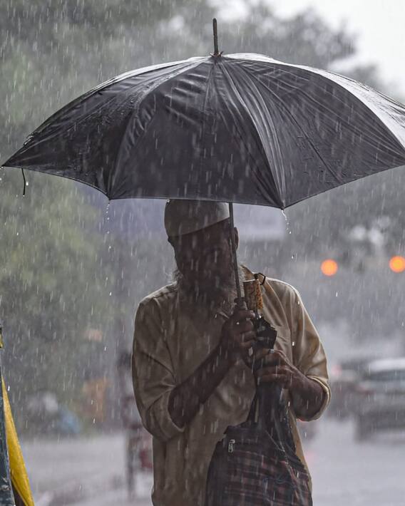 Check Out India's Monsoon Forecast
