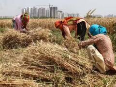 राजस्थान में तापमान पहुंचा 40 डिग्री के पार, किसानों के लिए मौसम विभाग ने दी ये गुडन्यूज़!